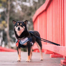 Load image into Gallery viewer, JK Series Pet Harness - San Frenchie