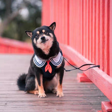 Load image into Gallery viewer, JK Series Pet Harness - San Frenchie