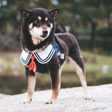 Load image into Gallery viewer, JK Series Pet Harness - San Frenchie