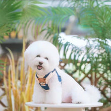 Load image into Gallery viewer, Adorable Bear Pet Harness - San Frenchie
