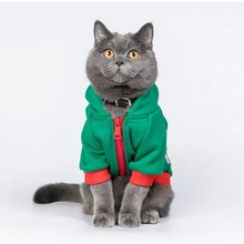 Load image into Gallery viewer, Dinosaur Jacket