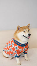 Load image into Gallery viewer, Christmas Tree Design Dog Sweater - San Frenchie