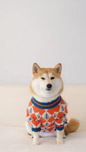 Load image into Gallery viewer, Christmas Tree Design Dog Sweater - San Frenchie