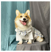Load image into Gallery viewer, Japanese Style JK Pet Shirt Skirt - San Frenchie