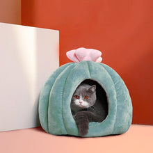Load image into Gallery viewer, Velvety Cactus House Bed - San Frenchie