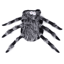 Load image into Gallery viewer, Webby Spider - Pet Halloween Costume - San Frenchie