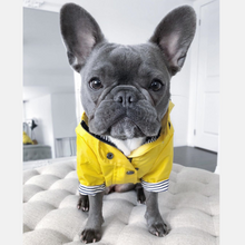 Load image into Gallery viewer, Premium Quality Raincoat for Dogs - San Frenchie