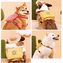 Load image into Gallery viewer, Personalized Embroidered Pet Backpack - San Frenchie