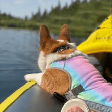 Load image into Gallery viewer, Cooling Vest - San Frenchie