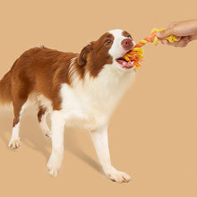 Load image into Gallery viewer, Toy Bin Dog Toy