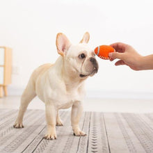 Load image into Gallery viewer, Latex Sports Ball for Dogs - San Frenchie