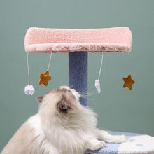 Load image into Gallery viewer, Ocean View Cat Climbing Tree - San Frenchie