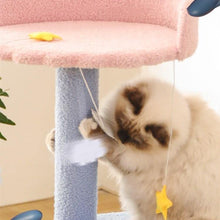 Load image into Gallery viewer, Ocean View Cat Climbing Tree - San Frenchie