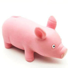 Load image into Gallery viewer, Squishy Stretchy Stress Away Toy - San Frenchie