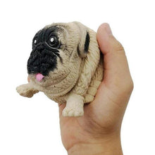 Load image into Gallery viewer, Squishy Stretchy Stress Away Toy - San Frenchie