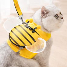 Load image into Gallery viewer, Bee Harness and Leash Set - Pet Halloween Costume - San Frenchie