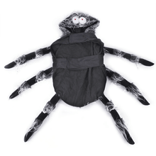Load image into Gallery viewer, Webby Spider - Pet Halloween Costume - San Frenchie