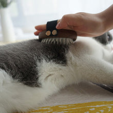 Load image into Gallery viewer, Pet Massage Comb