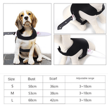 Load image into Gallery viewer, Stabbed Costume- Pet Halloween Costume - San Frenchie
