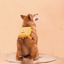 Load image into Gallery viewer, Personalized Embroidered Pet Backpack - San Frenchie