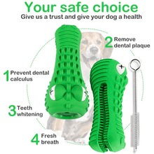 Load image into Gallery viewer, Crocodile Toothbrush and Chew Toy - San Frenchie