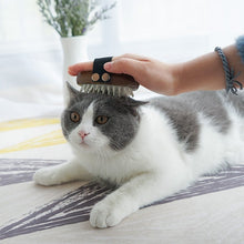 Load image into Gallery viewer, Pet Massage Comb
