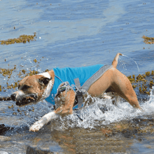 Load image into Gallery viewer, Cooling Vest - San Frenchie