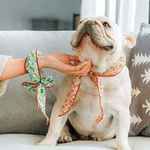 Load image into Gallery viewer, Floral Cooling Bandana - San Frenchie