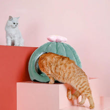 Load image into Gallery viewer, Velvety Cactus House Bed - San Frenchie
