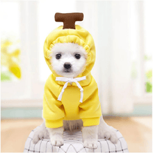Load image into Gallery viewer, Cute Winter Pet Hoodie - San Frenchie