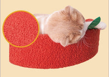 Load image into Gallery viewer, Vegetable Design Cat Climbing Frame