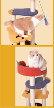 Load image into Gallery viewer, Vegetable Design Cat Climbing Frame