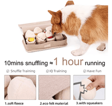 Load image into Gallery viewer, Egg Tray Snuffle Box Pet Toy - San Frenchie