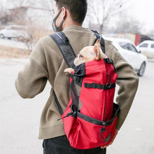 Load image into Gallery viewer, Pet Carrier Backpack - San Frenchie