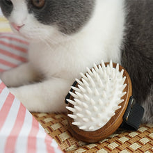Load image into Gallery viewer, Pet Massage Comb
