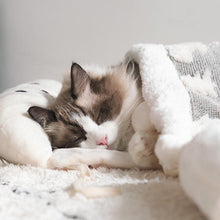 Load image into Gallery viewer, Bear Ear Pet Sleeping Bag - San Frenchie
