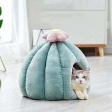Load image into Gallery viewer, Velvety Cactus House Bed - San Frenchie