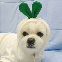 Load image into Gallery viewer, Cute Winter Pet Hoodie - San Frenchie