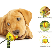Load image into Gallery viewer, Interactive Dog Chew Toys - San Frenchie