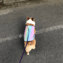 Load image into Gallery viewer, Cooling Vest - San Frenchie