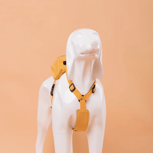 Load image into Gallery viewer, Personalized Embroidered Pet Backpack - San Frenchie