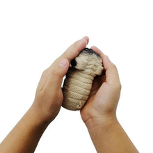 Load image into Gallery viewer, Squishy Stretchy Stress Away Toy - San Frenchie