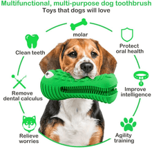 Load image into Gallery viewer, Crocodile Toothbrush and Chew Toy - San Frenchie