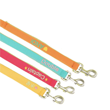 Load image into Gallery viewer, Personalized Leash - San Frenchie