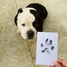 Load image into Gallery viewer, No Mess Paw Print Pad - San Frenchie