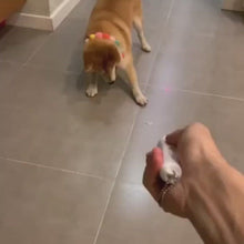 Load and play video in Gallery viewer, Paw Pen Laser