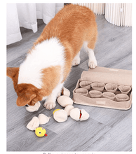 Load image into Gallery viewer, Egg Tray Snuffle Box Pet Toy - San Frenchie