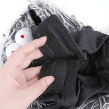 Load image into Gallery viewer, Webby Spider - Pet Halloween Costume - San Frenchie