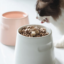 Load image into Gallery viewer, Volcano Shape Pet Bowl