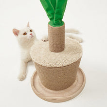 Load image into Gallery viewer, Potted Plants Scratching Post